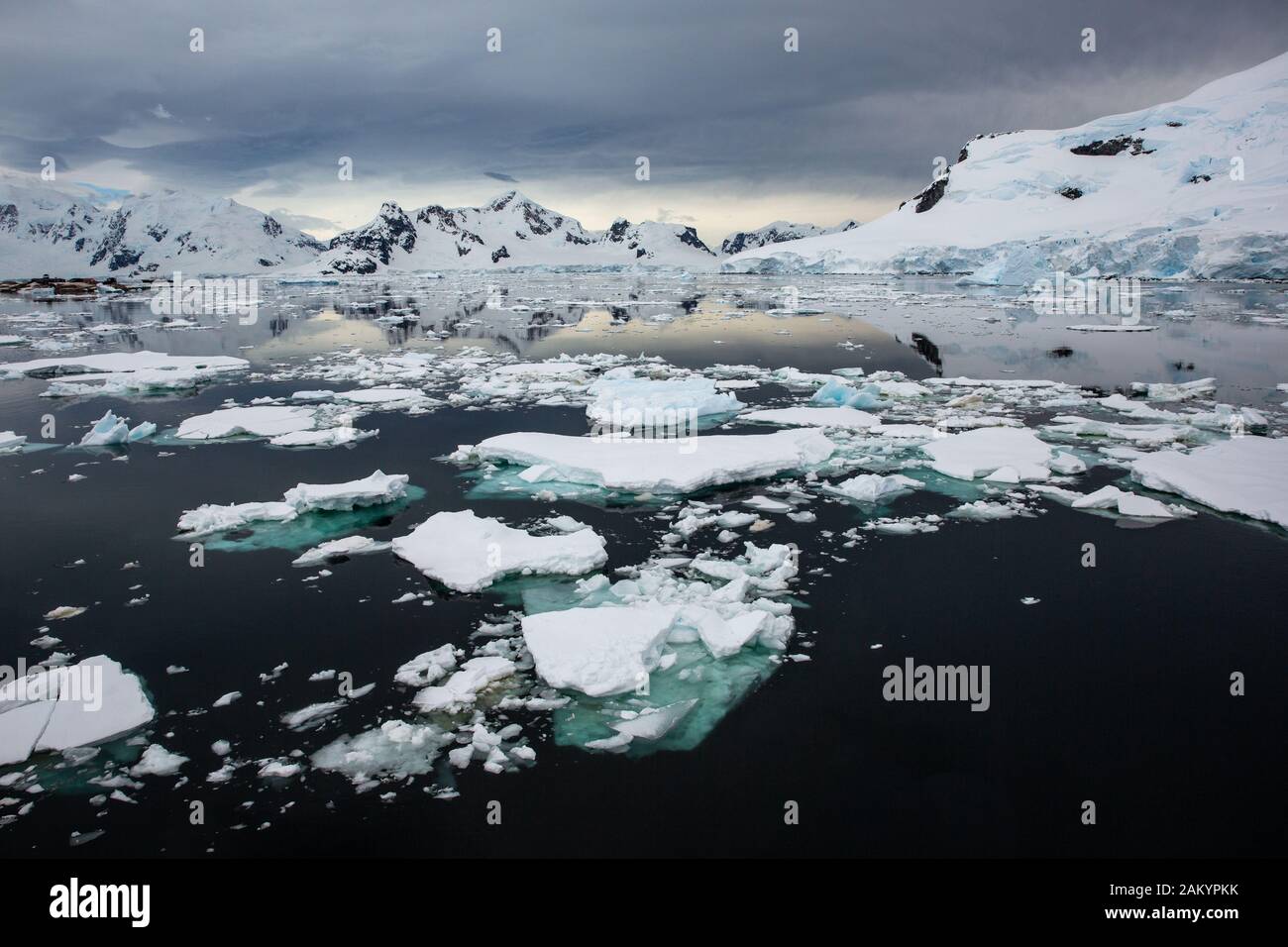 Iceberg, ghiaccio del ghiacciaio, ghiaccio di cenere con ghiacciai e montagne di Antartide e relfections sullo sfondo, Antartide Foto Stock