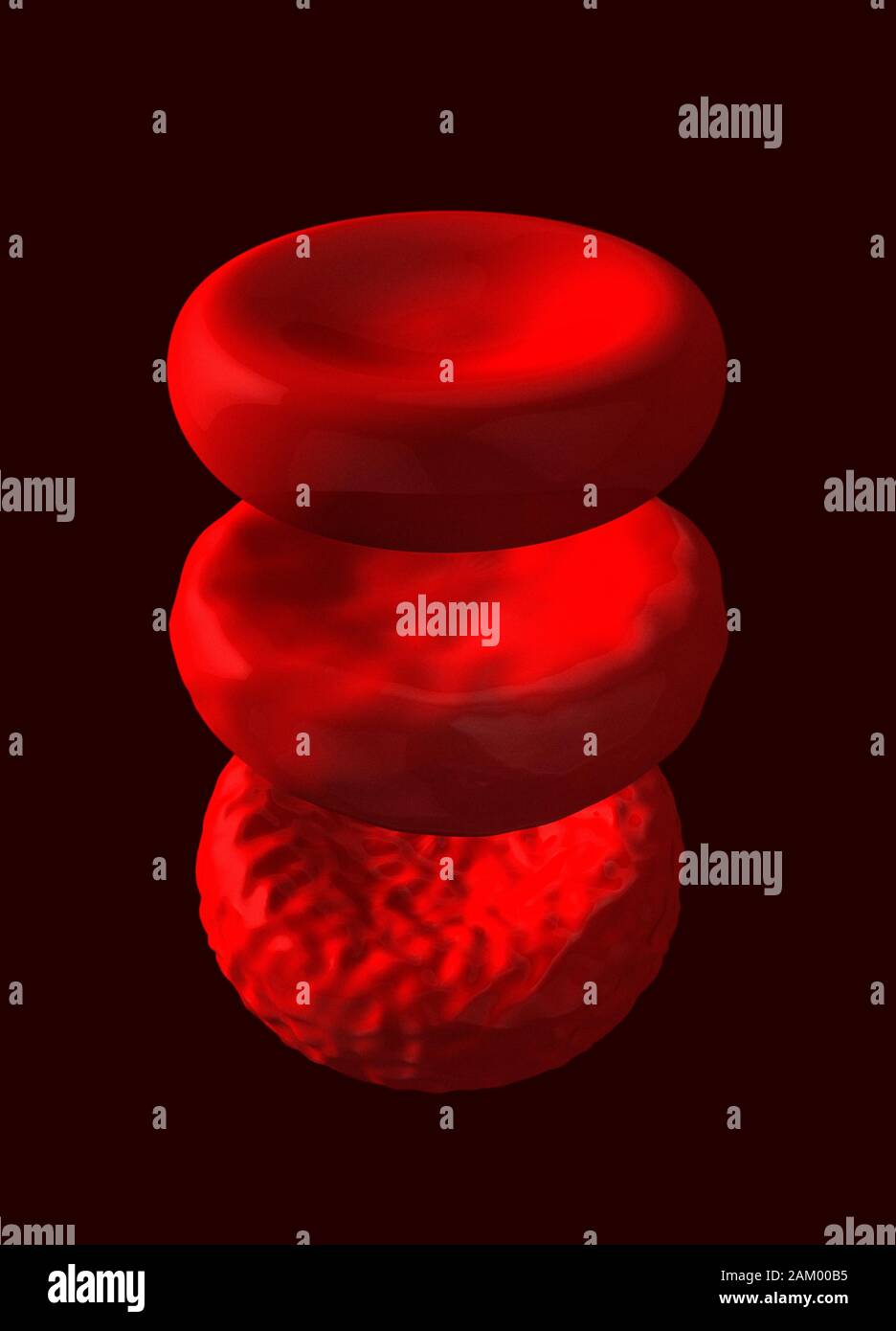 Globuli rossi morti, morenti e sani, illustrazione Foto Stock