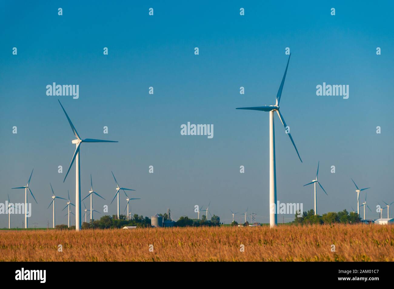 Un campo di grandi turbine eoliche a Dexter Minnesota, USA Foto Stock