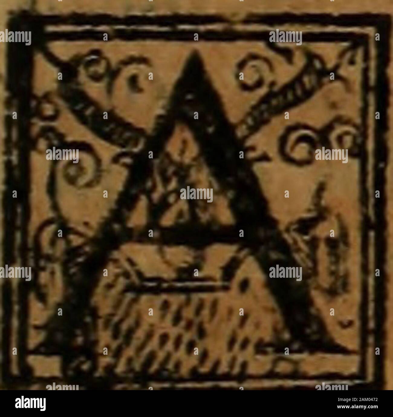 Chronica del Rey Don Rodrigo, con la destruycion de España, y como los moros la ganaronNueuam corregidaContiene ante de mas de la historia muchas viuas razones, y muy auisos prouechosos . chos caualleros y buenos, egli-cnemigos,y muchas vegadas Uamaualos riáfede tal guiía que maldita era la madrefuyos,y no ficnto hombre q no fe cfpanta que alli tenia hijo que no puede fcr alfinofedelasmarauillasquehazia, y quando quemueran todos o la mayor parte. ET¡-los fuyos vieron que el no auia voluntad, bres aunq era ya de hedad defentcta añosfíno de vencerlo morir tornaró enfu ayu andaua fobre fu cauallo t Foto Stock