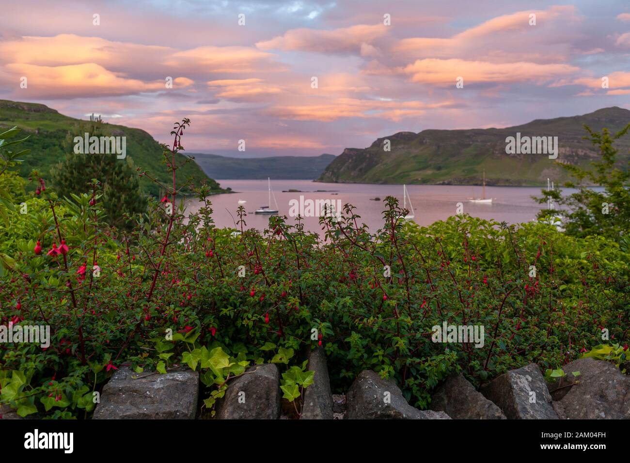 Fuschia fiori fiorire come si guarda fuori le barche nel porto, Isola di Skye, Scozia, Regno Unito. Foto Stock