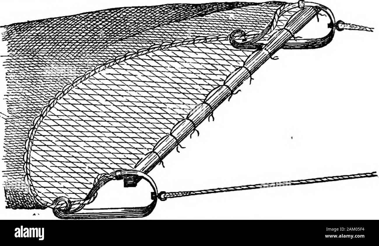 Il pescatore: comprendente il capo dei metodi di gancio e linea di pesca in British e di altri mari e commento su reti, barche e boatingProfusely illustrata con xilografie su fili, innescata ganci, reti e barche etc. e descrizioni dettagliate della stessa . e fromthis acquisisce il suo nome. In entrambi i lati della rete da traino il lettore potrà osservare quattro spazi darklyshaded, che sono denominate le tasche, e sono formedby cucire il retro e il ventre della net insieme dai sidesas lontano come la brusca cessazione dell'ombreggiatura, in tal modo invertito makingfour sacche o tasche per intrappolare le suole in thei Foto Stock