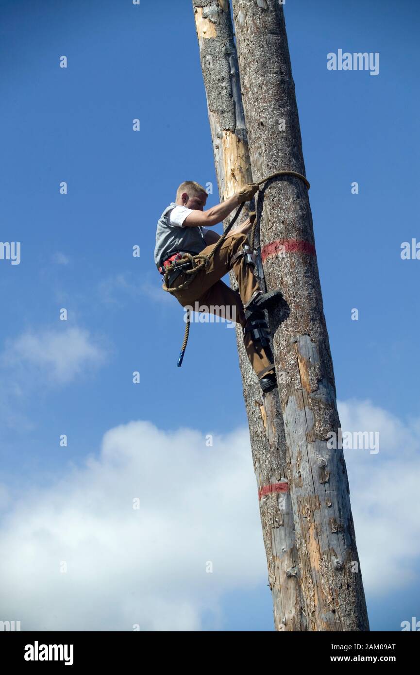 Boscaioli di eseguire in un albero concorrenza rampicante Foto Stock