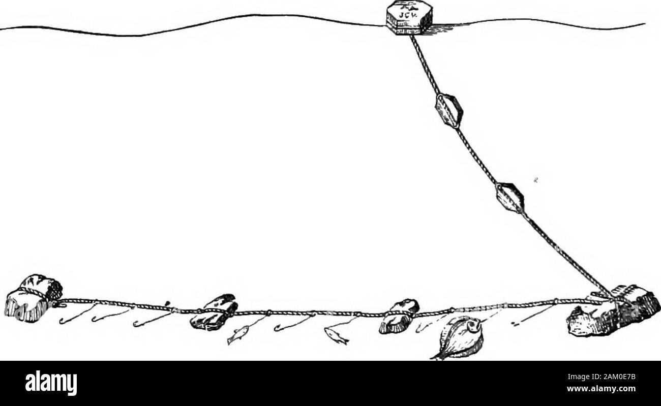 Il pescatore: comprendente il capo dei metodi di gancio e linea di pesca in British e di altri mari e commento su reti, barche e boatingProfusely illustrata con xilografie su fili, innescata ganci, reti e barche etc. e descrizioni dettagliate della stessa . un secondo può essere posizionato 18 pollici al di sopra del primo, whichshould essere attaccato un piede solo al di sopra del piombo. N. 4 e 5, fig. 62, per il collegamento a terra di pesca con calamari o Seppie esca; withsmaller ganci, No. 8, fig. 63, p. 2ri potrebbe essere esca con una Sand-Eel e utilizzare una mezza dozzina di ganci, ma i calamari e seppie sono 142 i BULTER, trotto o SPILLER MOS. Foto Stock