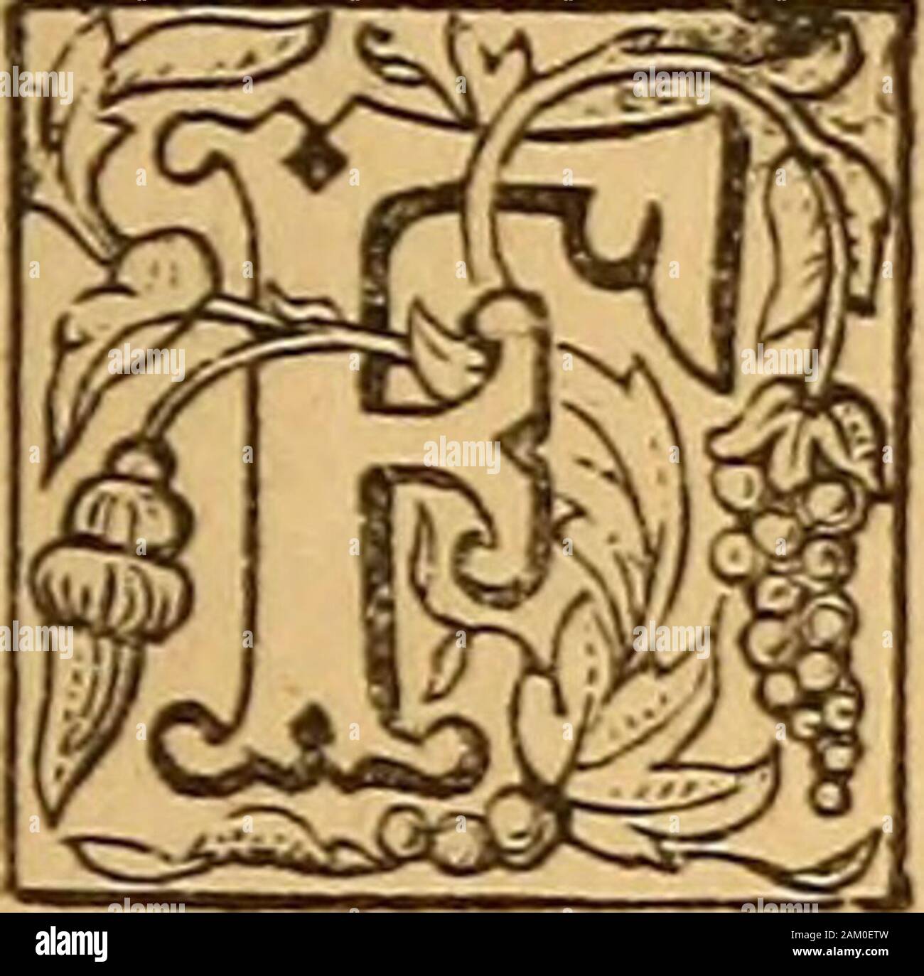 Il libro del canto sacro . 198 Il libro del canto sacro. Non un breve sguardo mi permetto, passando parola ;ma come tu dwelPst con i tuoi discepoli, Signore,familiare, condiscendente, paziente libera,vieni, non per soggiorno, ma rimanete con me! Non provengono in terrori, come il Re dei re;ma gentile e buona, con la guarigione nelle tue ali :lacrime per tutti i mali, un cuore per ogni motivo :vieni, amico dei peccatori, e quindi 'rimanete con me! Tu sulla mia testa nella prima giovinezza hai sorriso,e, sebbene ribelle e perverso nel frattempo,Tu non hai lasciato me, oft come ho lasciato te.al vicino, o Eterno, rimani con me! Ho bisogno di Tua presenza ogni Foto Stock