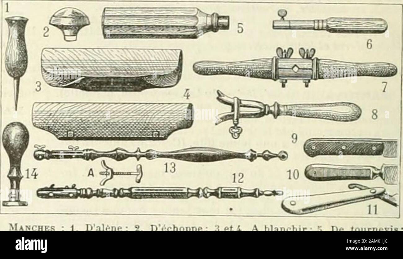 Nouveau Larousse illustré : dictionnaire universel encyclopédique . moitié du xix siècle, su désignaitde ce nom les boeufs et vaches du Maine et de lAnjou.Ces animaux se caractérisaient par leur couleur unifor-mément rouge bionda, ou maculée de blanc, leur squelettevolumineux, leur grande aptitude à lengraissement. Lesfemelles étaient de médiocres laitières. Par le croise-ment avec des taureaux durham, su un transformé la racemancelle au point quon peut la considérer aujourdhuicomme une variété pura de la gara di Durham. Cui Bace porcine. La razza suina du Mans {gara craon-naise, gara ayigevine) est 1 Foto Stock