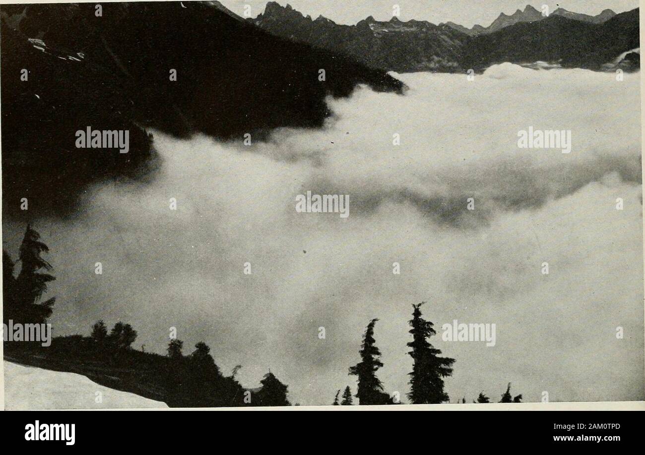Puget Sound e western Washington; città--città--paesaggio . Il ghiacciaio di Deming, MT. BAKER la donna delle nevi.Ogni anno nel mese di luglio. Agosto e Settembre come la neve si scioglie al Mt. Baker, il volto di una donna appare su un suo lato.La photovrraph dal quale il enKTaving- è stata fatta, è stata presa nell'estate del 1909. Quando la montagna era ina blaze di luce del sole, con nuvole vapory passando sopra la sua cupola argenteo. 120 Puget Sound e Western Washington. Sopra le Nuvole a mt. BAKER questo fenomeno è comune a snnrise. In altri momenti grandi formazioni di -^^^^^^f^^^J^^^^^^^ ° ° provengono la laminazione in la maggiore Foto Stock