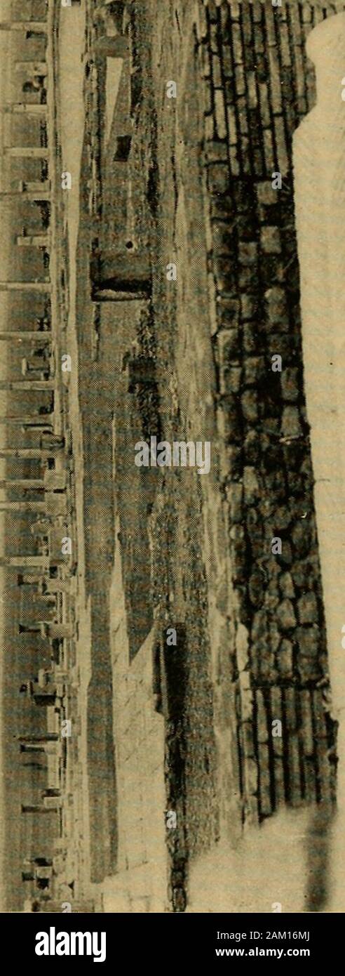 Un viaggio attraverso l'Italia, sicilia, Tunisia, Algeria e Sud della Francia . Costantino A EL KANTARA giorno sono alcune delle più belle nel mondo, quelle offamed Pompei, a mio parere, dissolvenza in entrata le società INSIG-nificance mediante confronto. Abbiamo raggiunto Timgad circa tre nel pomeriggio e ha elaborato prima dell'Hotel de Timgad,che è di proprietà del titolare del Hoteldes Etrangers, a Batna. Tra questi twohotels un motore omnibus servizio è mantenuta,che offre al turista una opportunità di capitale tovisit le rovine. La corsa è realizzata mediante thiscar in un ora e a giudicare dalla dimensione del themachine e il ro Foto Stock
