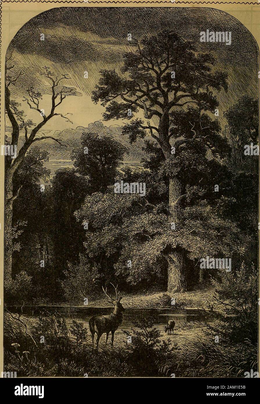 Il Norfolk Virginian annuali di, per l'anno 1884 . 47 set. N. 117 20 Sa 11 67 35 5 7 6 48 8 18 118 27 © 11 57 26 5 6 6 49 9 25 110 28 m 11 57 17 5 5 6 50 10 27 1-20 29 Tu 11 57 8 5 3 6 51 11 21 lei 30 W 11 .57 1 5 2 6 59 mattino. Quanto potenti sono le forze silenzioso che arealways al lavoro in nome dell'agricoltore ! Potenza Thesilent di evaporazione ascensori 3presto highas le nuvole, per ogni acro di terreno, 4,540 tonsof acqua che è precipitato sul suo suolo,in quantità misurate, per dare la vita, plentj,ricchezza. In confronto con il lavoro di thesepotent forze della natura, come assolutamente insignificanti Foto Stock