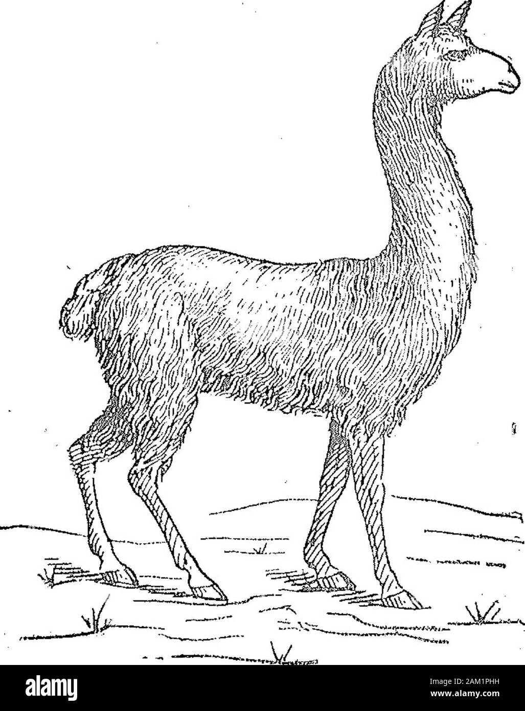 0 27 Foto E Immagini Stock In Bianco E Nero Pagina 5 Alamy