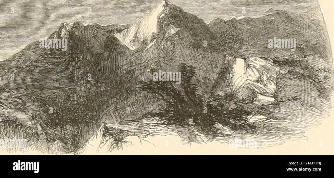 Il libro di lavoro . Chi può dirgli: "Che cosa fai tu ? Se Dio non ritira la sua collera, fieri aiutanti fare stoop sotto di lui. Come dunque potrei io rispondergli e scegliere le mie parole per discutere con lui ? Chi, anche se fossi giusto, non potrei ancora risposta, ma mi rendono vould supplica al mio giudice. Se avessi chiamato, e lui mi aveva risposto ; non potrei ancora credere che egli aveva obbedito alla mia ^•oice. Per lui, che mi colpisce con la tempesta. E moltiplica le mie ferite senza motivo. Egli non soffrirà di me a prendere il mio respiro. Ma mi fiUcth con amarezza. 40 IL LIBRO 01- Lavoro. Se parlo di st Foto Stock