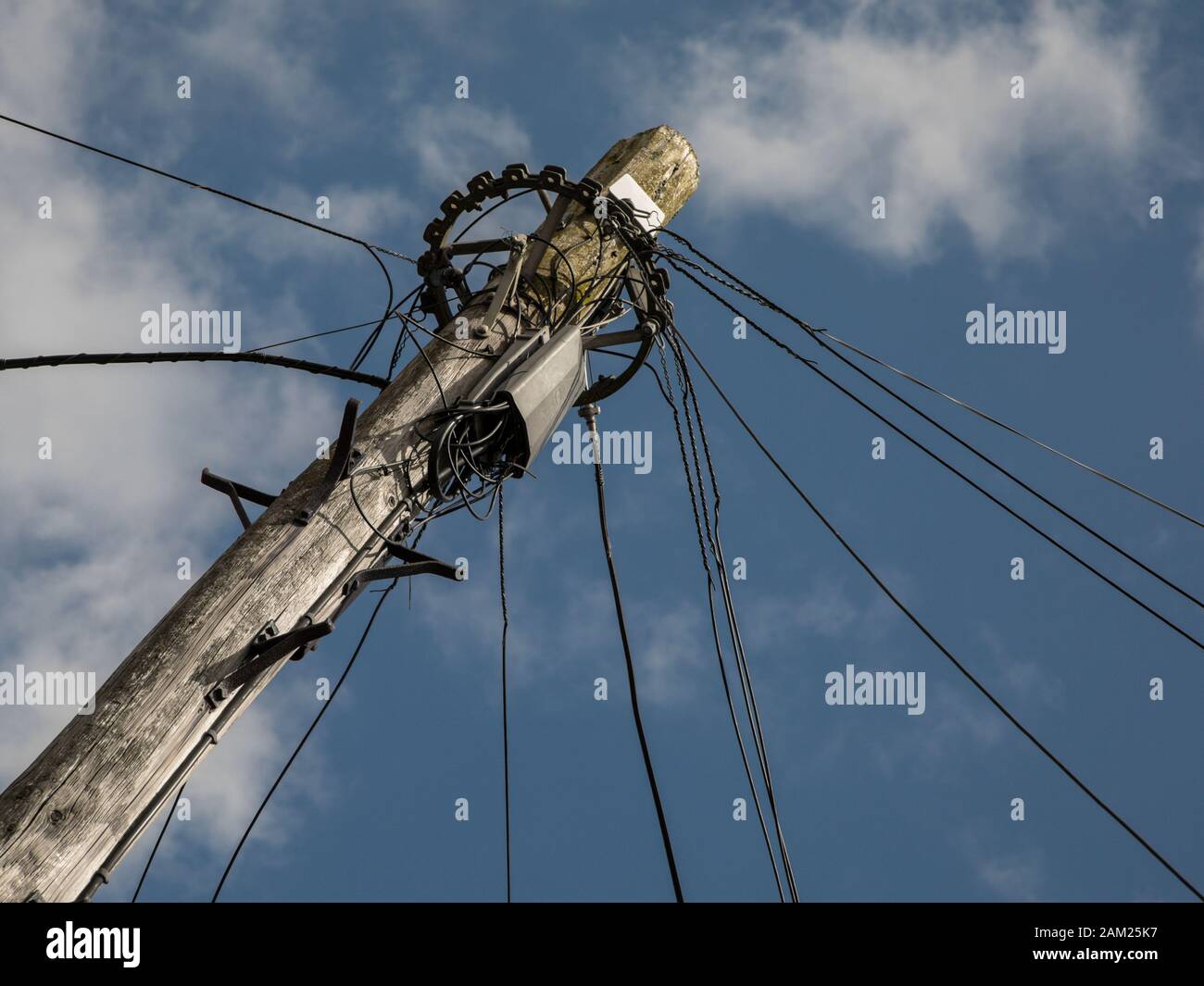 Palo per telegrafo con linee telefoniche e cavi di alimentazione Foto Stock