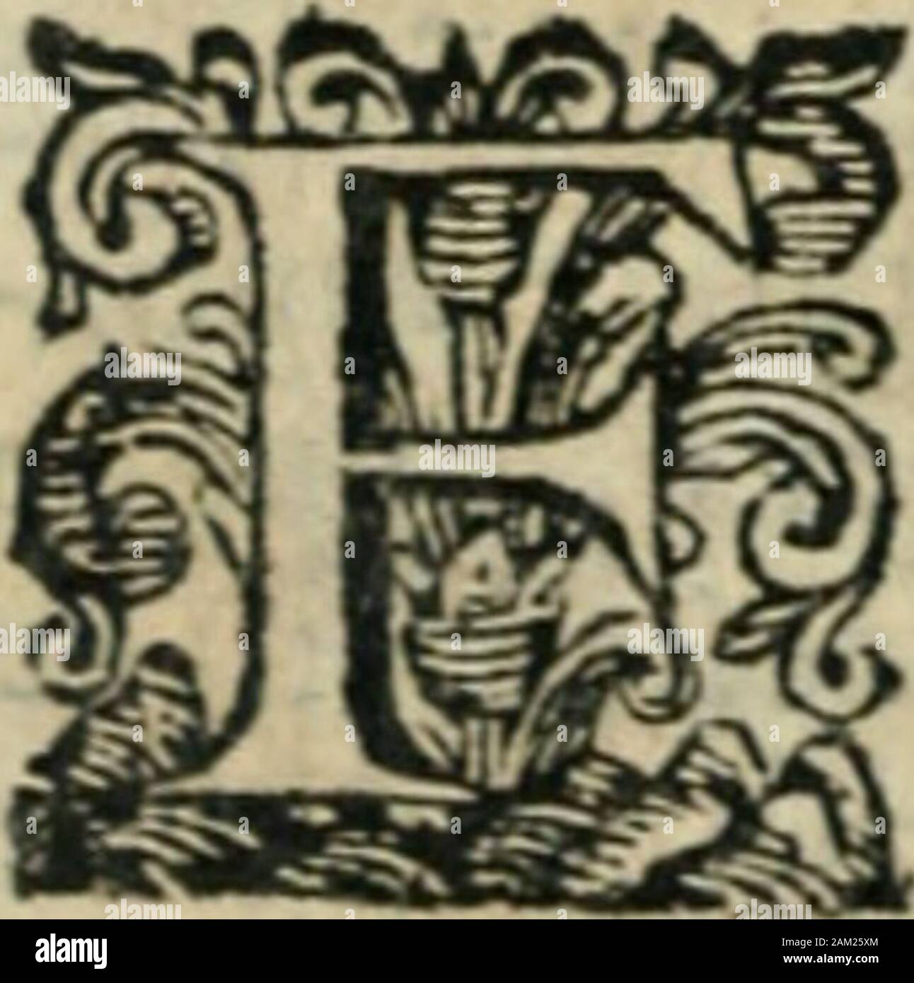 Los Reyes nuevos de Toledo, das descrivense mosas mas augustas notabili y de esta Ciudad Imperial ..Dividense en quatro libros . .Aquí fenece la hiftoria de primer nueftro Rey Nuevo;primero fundador de la Capilla Reale , y que aunque enfu tiempo no huvo Capellanes , hizo palazzo de que losluivieíTe. Fue como defportador del Rey Don Juan fuhijo , que imitando gloriofo las virtudes de fu padre , lecumplió con efedo los defeos. PaíTemos, pues, á fu hif-toria , cuyas proezas , y hazañas darán guñofosá bocados los que fe precian de leídos. LIBRO TERCERO. DE LOS REYES NUEVOSde Toledo. CAPITULO il primer Foto Stock