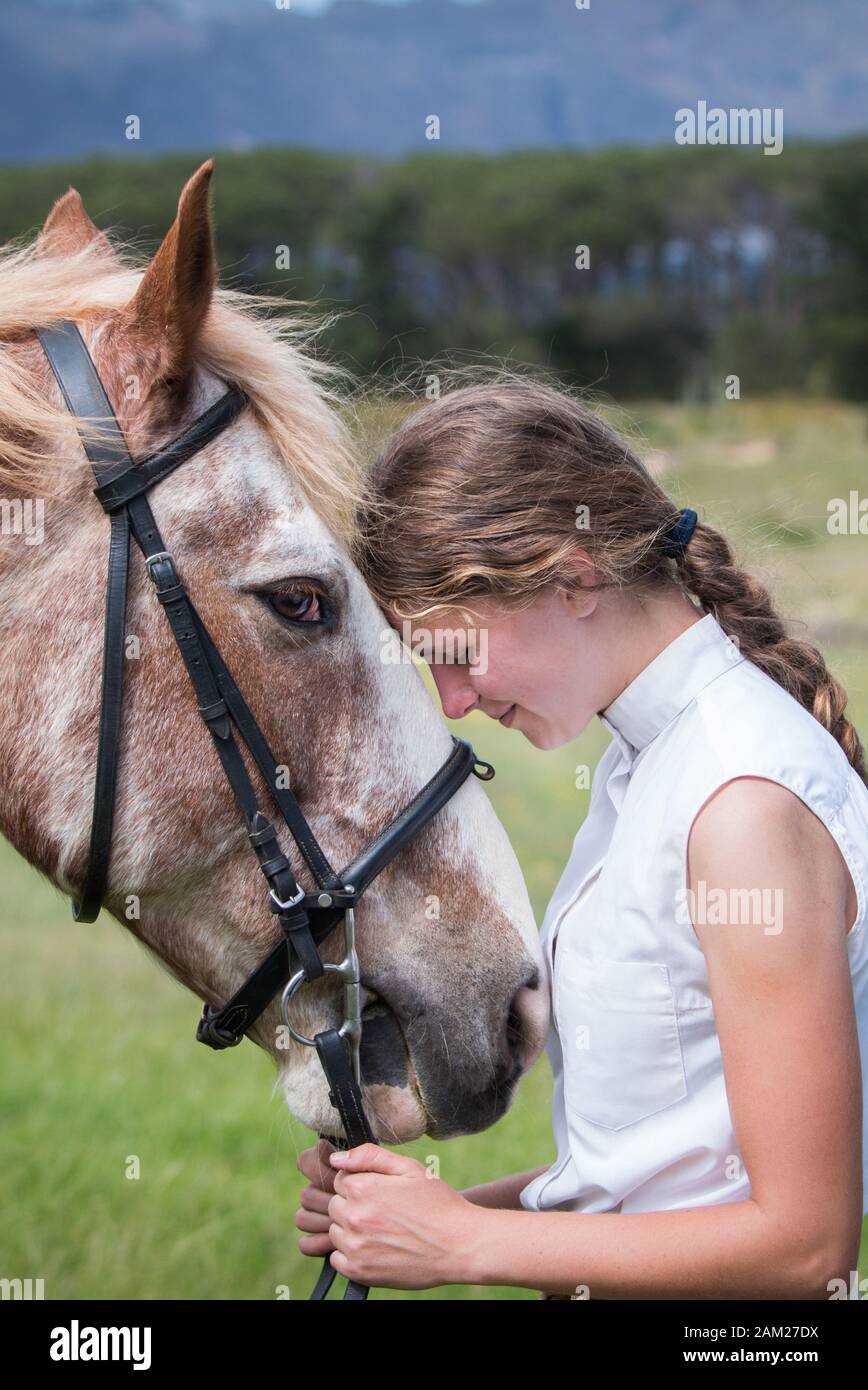 Ragazza in piedi di fronte al suo cavallo di vernice Sabino di fronte l'uno all'altro. Foto Stock