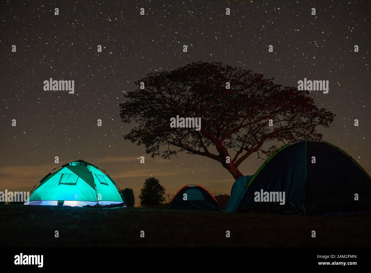 Tenda notturna campeggio e albero stellato Foto Stock
