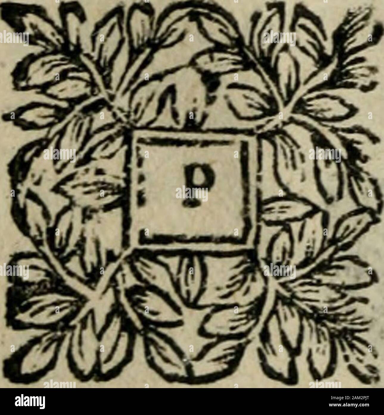 Manvel dv romainOù breviaire sont exposées clairement & methodiquement les raissons historiques & mystiques des heures canoniales . 438 Manuel du Breu. Tfymatn, ?*& CHAPITRE XXXIX. DE LA FESTE DE LA PENTECOSTE &defonOâauc. §. L Queft-ce que ftgnife Tentecofle^ (gr aquelles alette en célébré fon lafejie? ENTECOSTE eft vn mot grec fighifîant cinqfois dix, cinquante: aufcfi y un til dclafcfte dePâques iufques à cellede Pcntecofte cinquan-te iours, o comme les Hebuux cc-lebroient la Pcntecofte en mémoire de!un Loy, que Dieu leur auoit donnée pelliccia. Partie IL Cbap. XXXIX. 439le mont de Sina , qui fut le ci Foto Stock