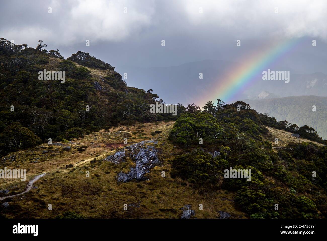 A piedi la vecchia strada di Ghost trail, Lyell per Seddonville, Nuova Zelanda Foto Stock