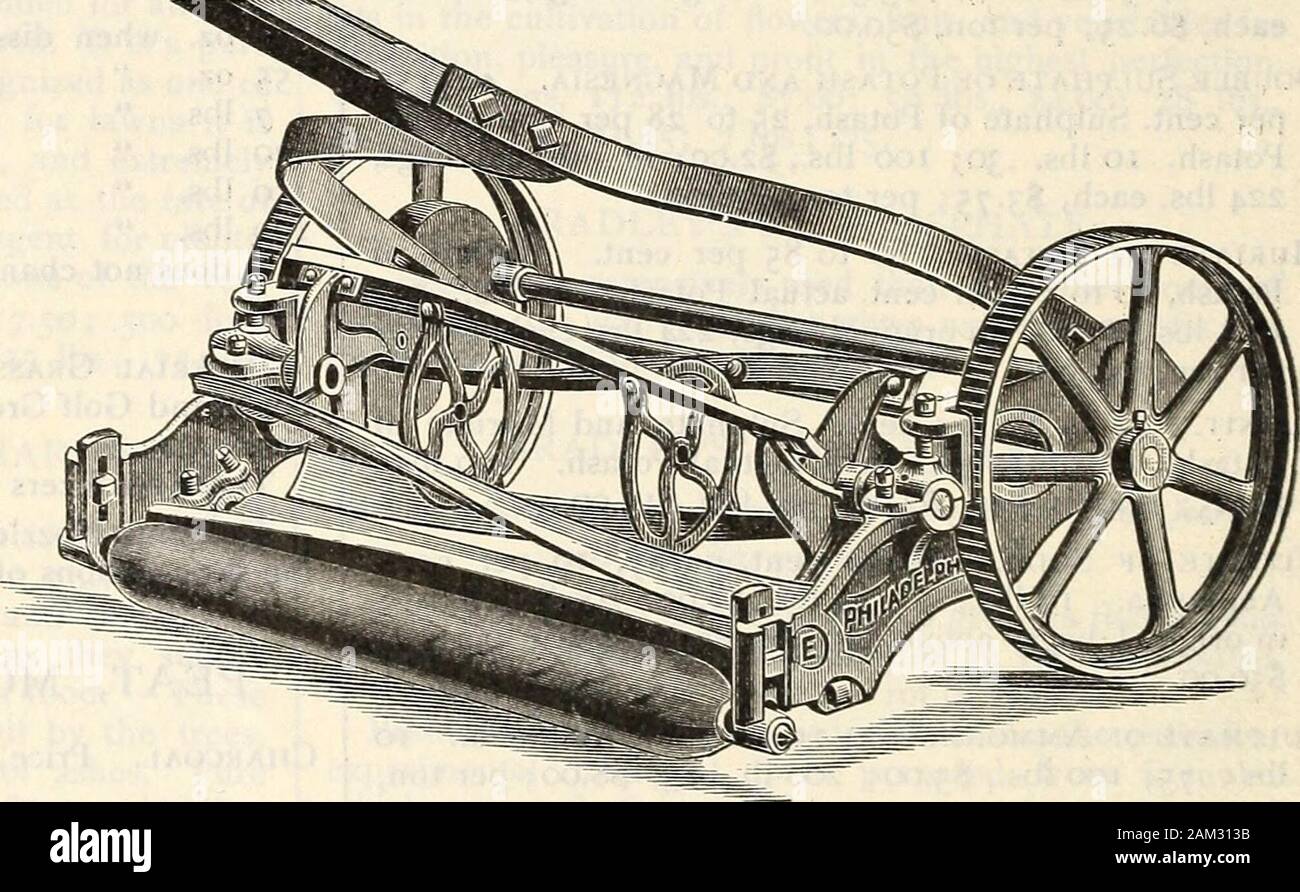 Farquhar del catalogo : la primavera 1904 . l'anello- Tosaerba. Ero così wellpleased con esso che ho ordinato un altro in luglio. Mygardener, con l aiuto di un ragazzo, ha trovato che lui couldcut l'erba in circa la metà del tempo egli ha richiesto todo con le vecchie macchine e con più comfortto stesso, grazie al suo essere così leggero per gestire andrun. Fa un ottimo lavoro ed è più facile da eseguire altodel vecchio K-inch, e ho il piacere di recom-rammendo in termini più alta. Molto veramente la vostra,(firmato) HOWARD MARSTON. GENUINE PHILADELPHIA TOSAERBA. E ruota alta. Quattro lame, 10 pollici ruota, 6^2 pollici cy Foto Stock