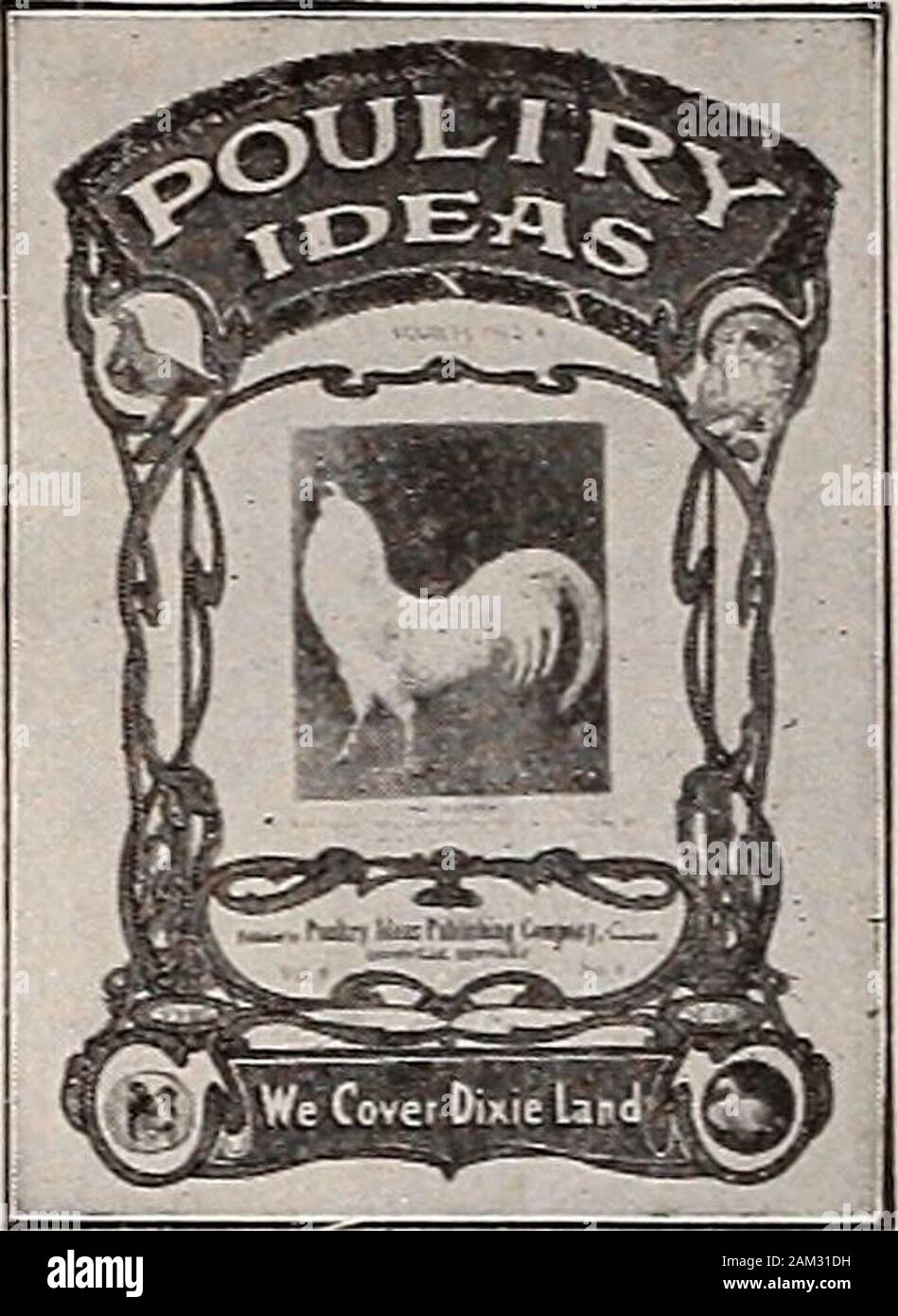 Il pollame di fantasia . nPoultry giudice dovrà sovrintendere alla mostra.George B. Husted è assistente Superin-tendent e Charles H. Maier è showsecretary. Indirizzo communicationsto tutti lui a Xo. 11 South Laurel Street,Bridgeton. Questo film è riconosciuto come il qualityshow di Jersey. L associazione è theoldest nello stato avente permanentquarters che sono aperti tutto anno alla fraternità in generale. Lo show di quest'anno promette di evensurpass ultimi anni grande successo. Asidefrom essendo riconosciuti come la qualità di show-esso reca anche la reputazione di beingthe mostrano dove preziose cup specials andmany c Foto Stock