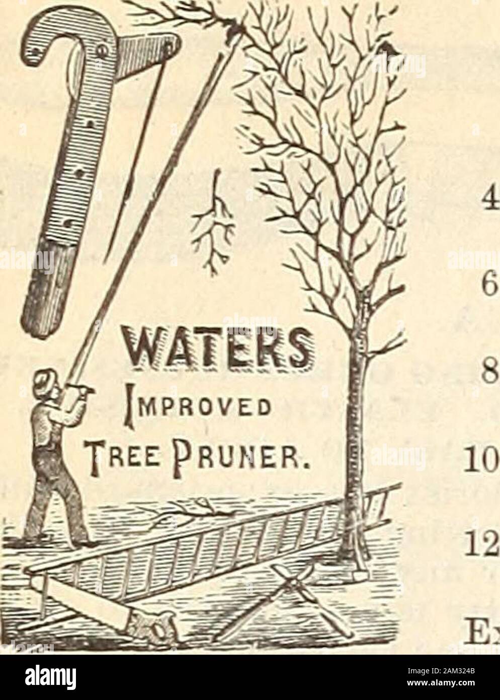 WmElliott & Sons seedsmen : 1898 . 62 WM. ELLIOTT & Sons. SEEDSMEN. NEW YORK.. Potatori, WATERSTREE. 4 piedi ogni S .75 cesoie, eseguire potature (inglese), medium $2.50; grande . $3.00 ^^^^m Lame extra ..... 0,85 .... 1.00 .... 1.15 .... 1.25 . . .20 potatori, Telegrafo Tree, senza asta $1.00 Post cucchiaio foro 1.25 Sega e scalpello 1.00 Eaffia per cercare, per libbra. 20 cts.; 5 lbs 80 cuocere, giardino, acciaio, 6 denti, 30 cts.; 8 denti 35 10 40 cts.; 12 45 14 50 cts.; 16 55 Dente corto, acciaio 10 denti, 40 cts.; 12 denti ... .4514 50 cts. ; 16 ... .55 il fieno, legno, centina 3, 12 denti 30 Lavn, legno, centina 3, 22 Foto Stock