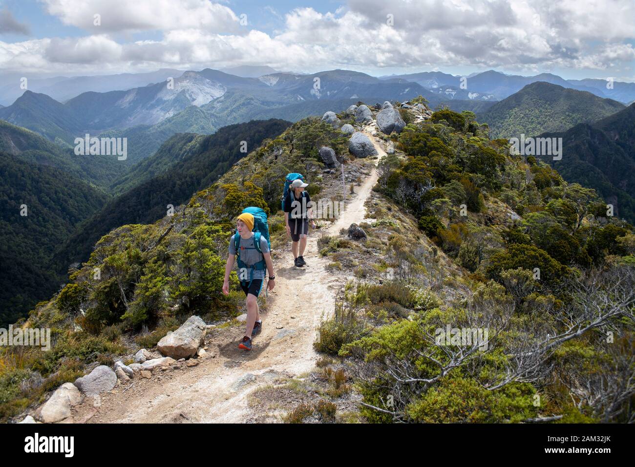 Camminando lungo il sentiero Old Ghost Road, Lyell fino a Seddonville, Nuova Zelanda. Su Skyline Ridge Foto Stock