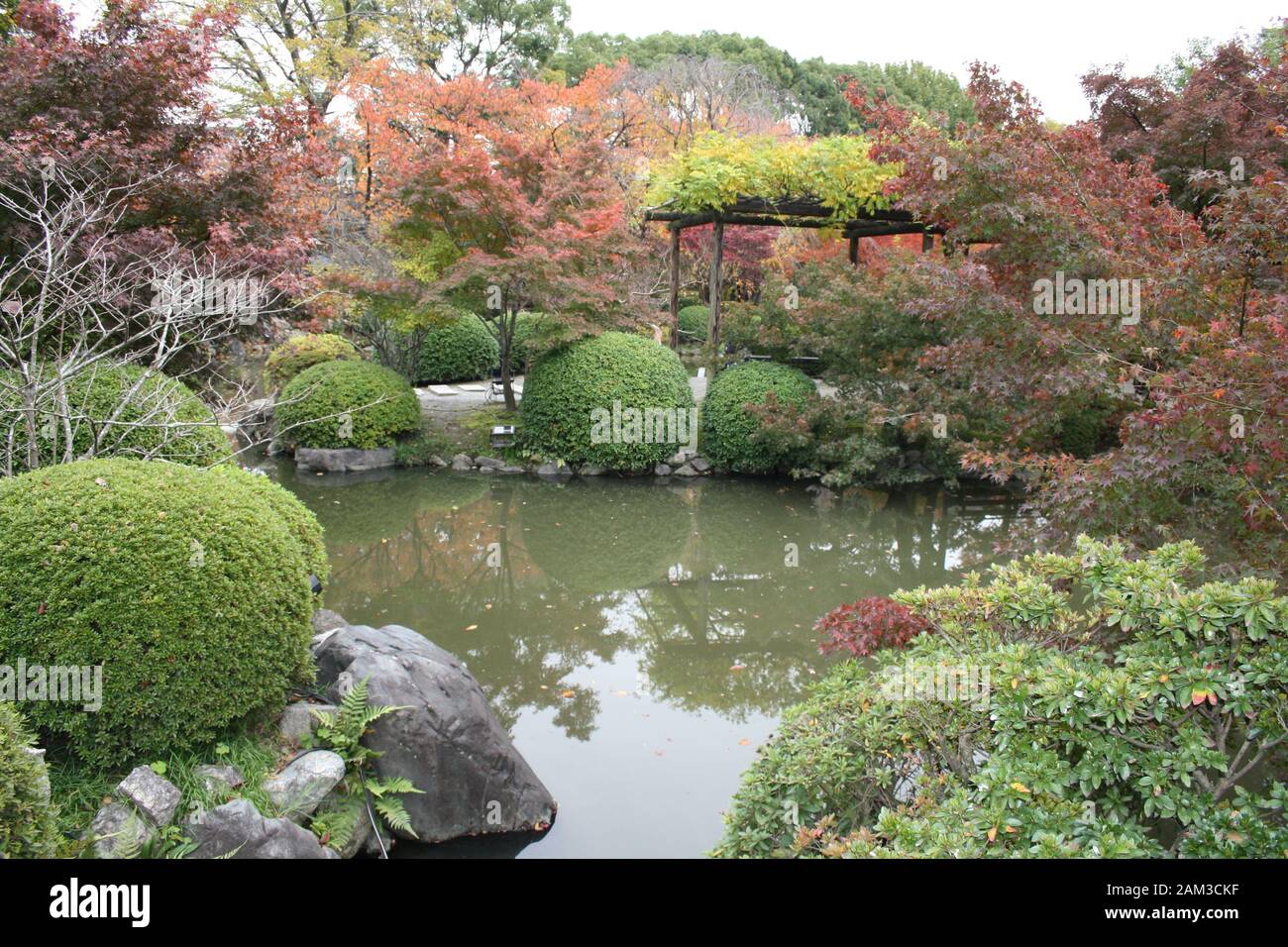 Tranquillo stagno situato sui terreni del Tempio Toji a Kyoto, Giappone. Presa a novembre 2019 Foto Stock