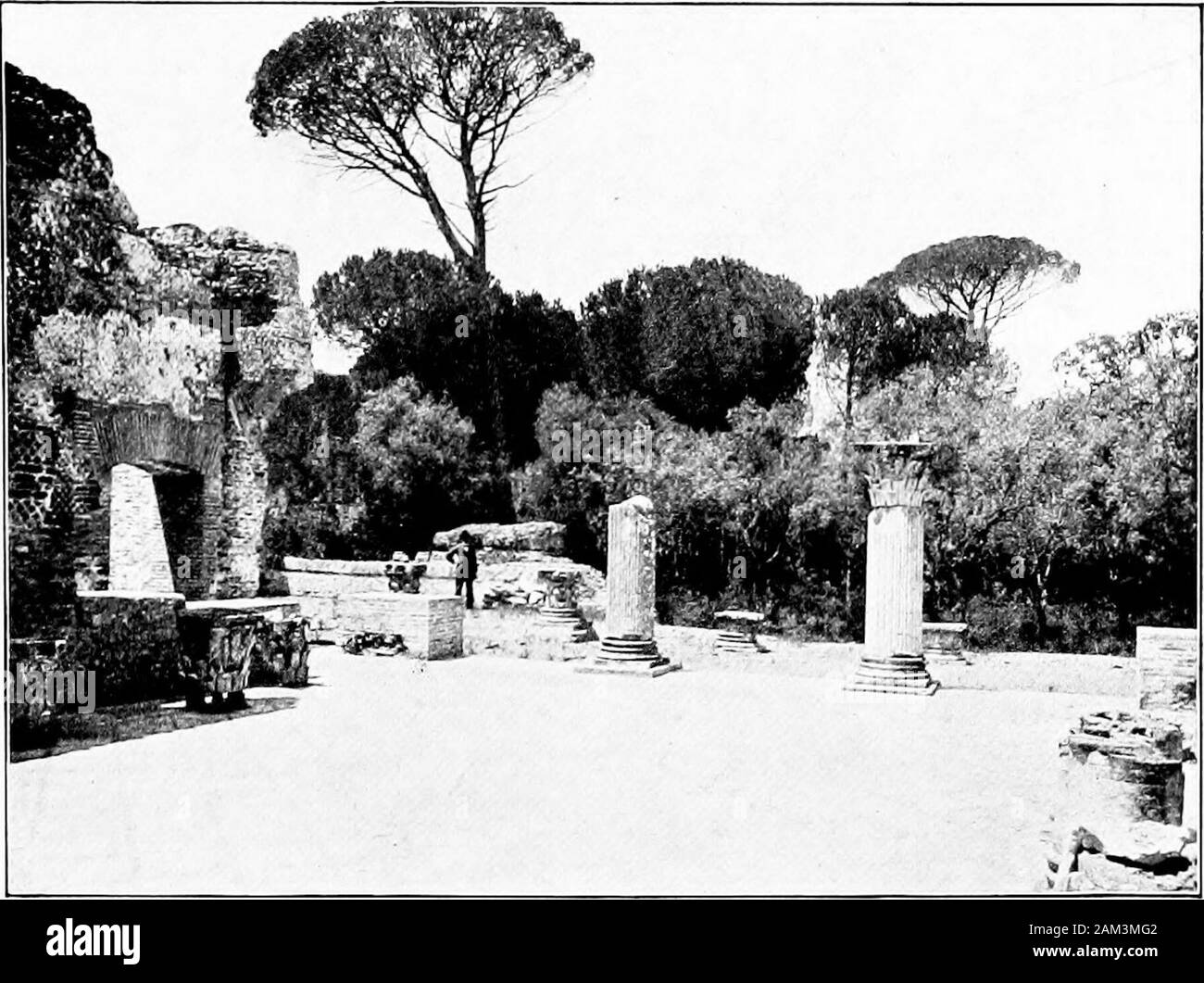 Peregrinazioni nella campagna romana . mage attraverso ogni coun-provare in Europa, compresa l'Italia (Vaticano, Campidoglio,nazionale, Borghese e Albani musei), la Francia (theLouvre), Inghilterra (il British Museum e lan-downe House), la Prussia (l'Antiquarium, Berlino), Swe-den (Stoccolma), Sassonia (Dresda) e Russia (San Pietroburgo e Pavlovsk). Ho detto che il più grande e migliore sezione di thevilla era stato acquistato circa l'anno 1730 dal conte Fede,per cui piantagioni di pini e cipressi la sua placeowes presente foto(|ueness. Nel 1803 fu boughtby Pio VII per il nipote, Braschi-Onesti, Foto Stock