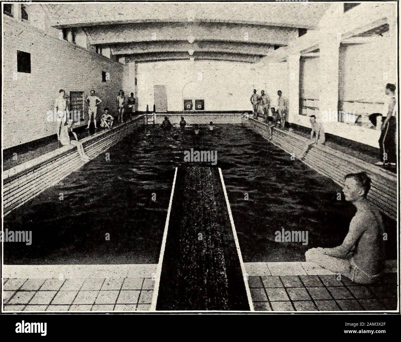 Catalogo annuale della Pittsburgh Theological Seminary . Comunità CASA DI PRIMO REGNO CHIESA PRESBITERIANA,lato nord di Pittsburgh. Piscina e comunità Casa OFFIRST REGNO CHIESA PRESBITERIANA di Pittsburgh Seminario teologico che consente loro di tutti i privilegi della casa.Le funzioni di atletica sono alcune ottime piste da bowling, una grande piscina di acqua filtrata, una palestra,e giochi di vari tipi. Gli studenti hanno anche theprivilege di assicurare loro cene nel CommunityHouse sala da pranzo a un prezzo molto ragionevole. Attrazioni Besidesthese, gli studenti sono grante Foto Stock