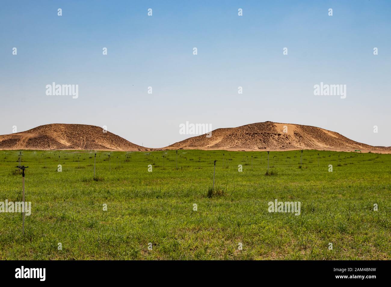 Terreno agricolo vicino al Rub al Khali nel quartiere vuoto Foto Stock