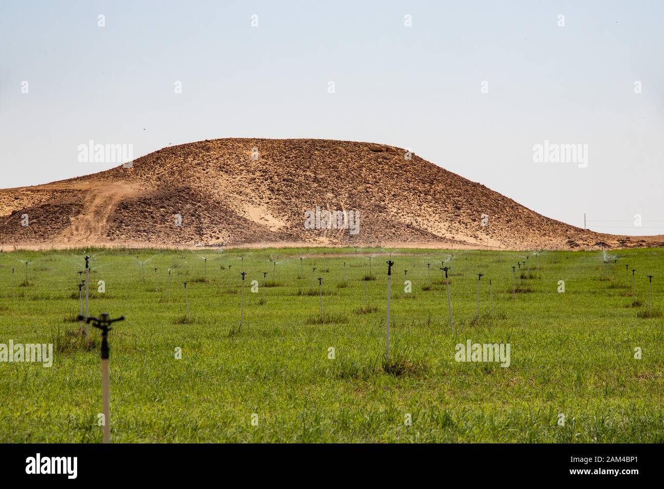 Terreno agricolo vicino al Rub al Khali nel quartiere vuoto Foto Stock