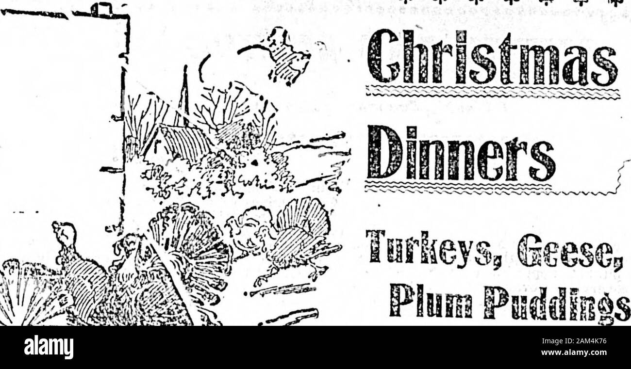 Daily colono (1900-12-30) . rd, ecc.: Buona build-rali, $15.000: può disporre a magazzino purchaselive, attrezzi, ecc. Apolv 40Government Street. B. C. Land & Invest-ment Agenzia. Limitato. SOMENOS LAGO-2V&GT; mlloa da Duiuonls250 acri, moderno 11 ru&lt;i.med house, lettino-tage, fienili, frutteti, ecc.:. o wiSl suddividere per adattarsi all'acquirente. Piena DarSihulursat 40 Government Street. Isola James-Off Saanlch. 1 miglio: 200 acri; 35 sotto la coltivazione; tW acr&lt;scleared, equilibrio cooil narra: partite di roodwater: Ave roomeree"nullo descrizioni: facile applicare teruiBi 40Government Street. VICTORIA-braccio acreR 5. Foto Stock