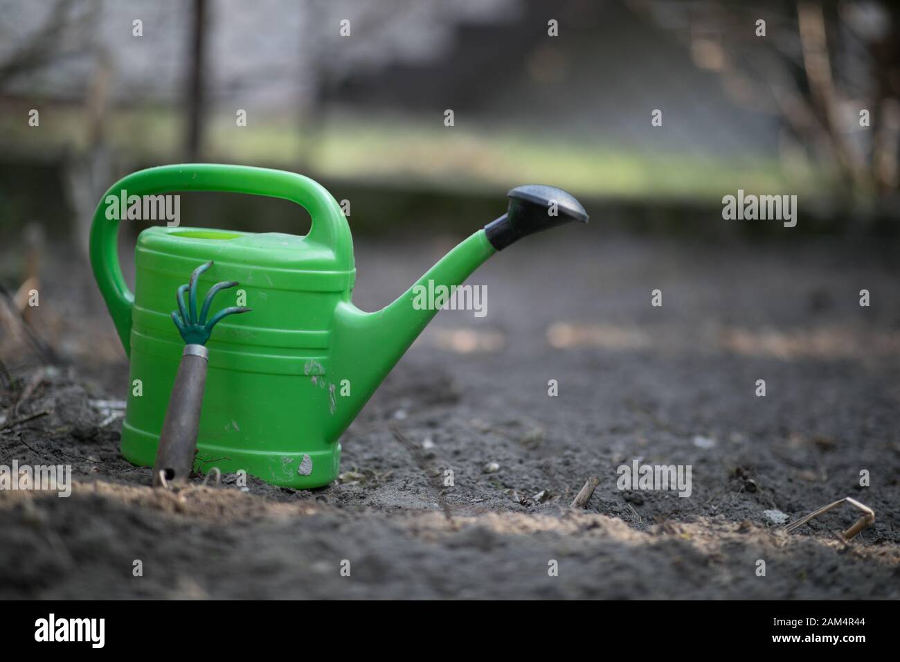 Green annaffiatoio e accessori giardino sul cerotto durante la pulizia di primavera nel giardino. Foto Stock