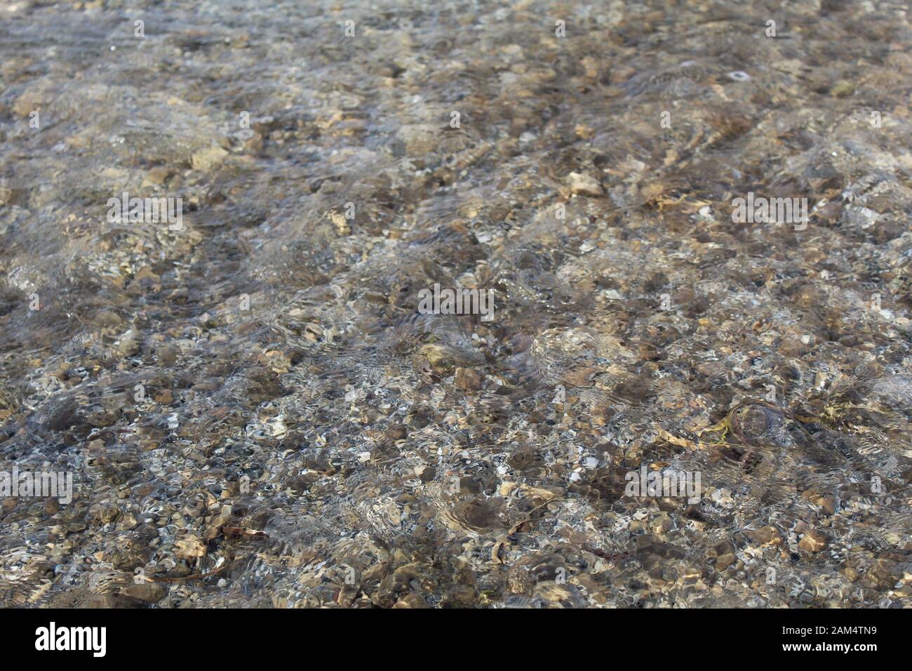 All'interno dei confini appartati della Mission Creek Preserve, dove i deserti Mojave e Colorado coincidono, scorre un flusso vitale, raro in aree aride. Foto Stock