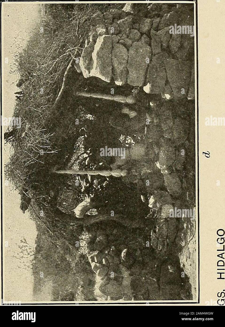 Fisiologici e le osservazioni medico tra gli indiani del sud-ovest degli Stati Uniti e del Messico settentrionale . CORA abitazioni a Gesù Maria, TEPIC CHICHIMEC, HUICHOL E CORA ABITAZIONI ? ? M 1 IP-k |^^^^?ii^ Mi M ^m ? :^fl B| 1 1 xM Wf^ f >*^^H Signor <; -^Jii^SK BHHIK W. Foto Stock