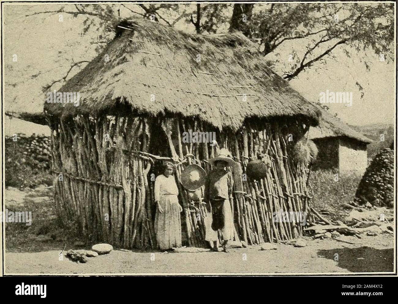 Fisiologici e le osservazioni medico tra gli indiani del sud-ovest degli Stati Uniti e del Messico settentrionale . GHICHIMEC ABITAZIONE A SAN PEDRO, ZACATECAS aM||iawp^^^a M^r >"" -^ ? • JS ^^^f^IttP^jCV.i a 4 ^^^^^^^^I^^Hh -^i^se^H^^^^^^I^S^^^^^^^H iA/ii^JjAl^iW! Ll-f ^i 1 jI Iw**^ ^- -. J - v "^ ^^    HUIGHOL DIMORA NEI PRESSI DI SANTA CATARINA, Jalisco. CORA abitazioni a Gesù Maria, TEPIC CHICHIMEC, HUICHOL E CORA ABITAZIONI ? ? M 1 IP-k |^^^^?ii^ Mi M ^m ? :^fl B| 1 1 xM Wf^ f >*^^H Signor <; -^Jii^SK BHHIK W Foto Stock