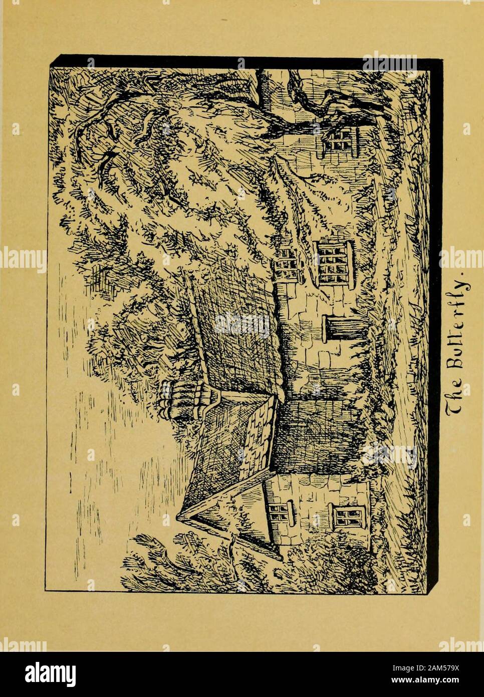 La storia della parrocchia di Buxhall nella contea di Suffolk; con venti-quattro full-piastra illustrazioni e una grande mappa parrocchiale (contenente tutti i nomi di campo) appositamente disegnati per il lavoro . per suo figlio Edward Boggas e Robert Everard, come Trustee forThomas Everard e di sua moglie e il superstite, con resto all'uso di theheirs dei loro corpi come Thomas Everard dovrebbe da nominerà, con resto toEdward Boggas il sambuco in quota. Thomas Everard da saranno datate 23 Nov.,1755, ha lasciato la sua proprietà, dopo la morte di sua moglie di suo figlio Giovanni in quota e bothwife e il figlio sono stati ammessi alla Foto Stock