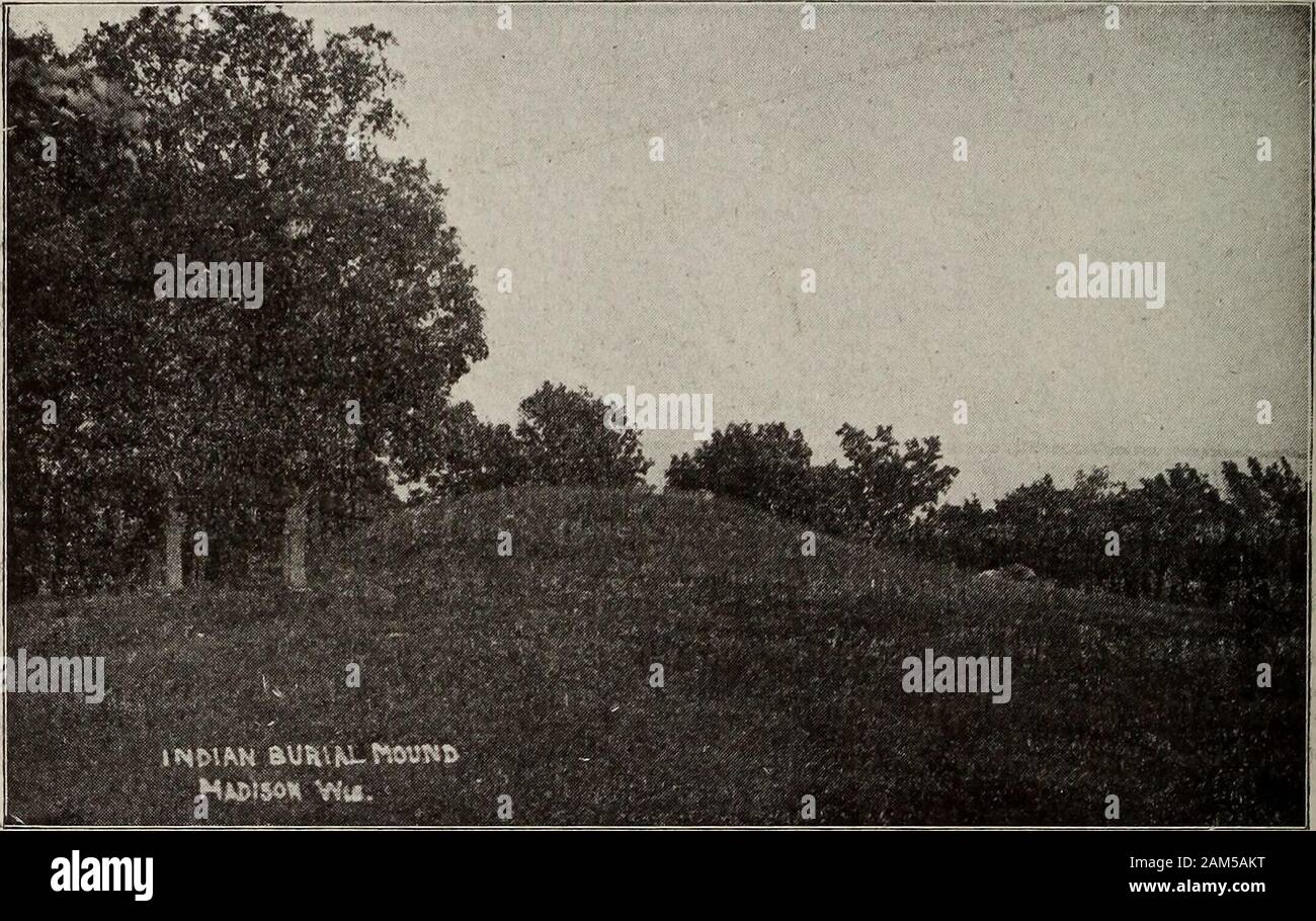 Ohio reperti archeologici e storici trimestrali unds .. Questi ultimi comprendono un singlebird effigie e un certo numero di grandi effigi della pantera tipo.i tumuli conico si trova qui includono alcune delle mostprominent e meglio conservati circa -Madison laghi.un appezzamento di Indian cornhills situato a sud-est cor-ner della proprietà molto interessati i pellegrini. Morris Parkhas recentemente stabiliti nella località estiva di partite da un Madisonreal station wagon concessionario. La società è la realizzazione di un determinato effortto salva i tumuli. 358 Ohio Arch, e Hist. Pubblicazioni della società. Il ritorno è stato poi fatto ai lanci Foto Stock