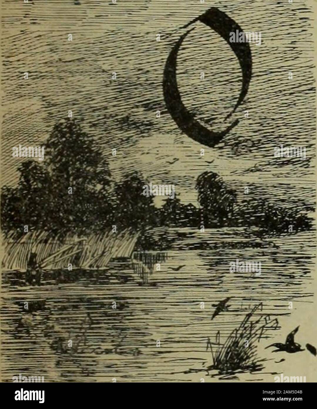Milioni 1898 . r- China Inland Mission non ha alcun lavoro in questo r); •••••; l888 Provincia. Miss M A. Legno 1895 Miss E. A. Ogden 1896 TIBET. Signor |. Meikle 1888 Feng-kang. , . ". Signor c, 1 Marshall 1890 •? Popolazione, 6 milioni. 8 missionari. La signora G. J. Marshall (tut 2 stazioni (nel territorio cinese). " *:)--- A95 .. SIN-kiang. Il sig. E. G. Bevis 1897 il sig. un Marty 1897 Popolazione, 5 milioni. Il signor A. IO Thor 1890 Kih-un. ,-"M""T" Signora UN E. Thor (tut Carlson) 1891 la Mongolia. Dr F UN Keller 1897 Popolazione, 2 milli UN P Ouirmbach 1897 Signor ho l.awson 1888 Chang-shu. La Manciuria. La sig.ra J Lawson hut Comity) Popul Foto Stock