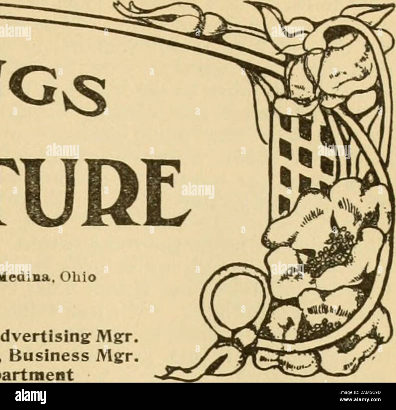Spighe nella cultura delle api . BEE CiFlTURE pubblicato dalla A. I. Società radice, Medina. Ohio E. R. Root, Editor A. L. Boyden, Pubblicità Mgr H. H. Root, Asst. Ed. J. T. Calvert, Business Mer A. I. Root, Editor di Home Dipartimento. Vol. XXXV. Il 1 giugno 1907. No. 11, Foto Stock