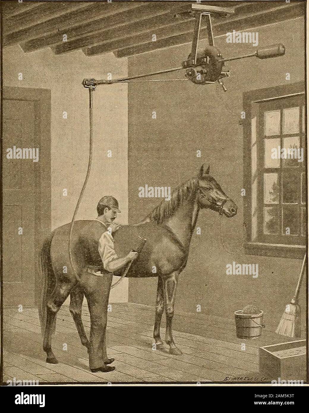 Allevatore e sportivo . y George M. Patch -n Ji S. O Holbrook 6 4 5 12 Edgemont Park Stock Fa1 ms b h Harry Winchester, da !*laml-oul-Jessie Bullard P.W.Hodge ha 5 3 2 3 A. C. Hinksons blk h Addison, da James Madison-da Berlino J. M. Nelson 2 2 6 5 /. M. Mcintoshs b m Alias, da Woolsey-da Del Sur - J. P. Gaines 4 5 4 4 Ora, 2:20, 2:19, 2:19, 2:21,2:19^.la stimolazione, 2:22 classe, hei t dashr s. W H. Siimsons bf Betty Gentry, da Raymond-da Del Sur W. H. Slimson 111 T. J. Crowlej s b h ed Lafferty, da Charles Derby-Beriba, da Al-cantara ed LaSety 2 2 2 Frank Humphreys b m Nellie B., dal Natale- da Farrel Foto Stock