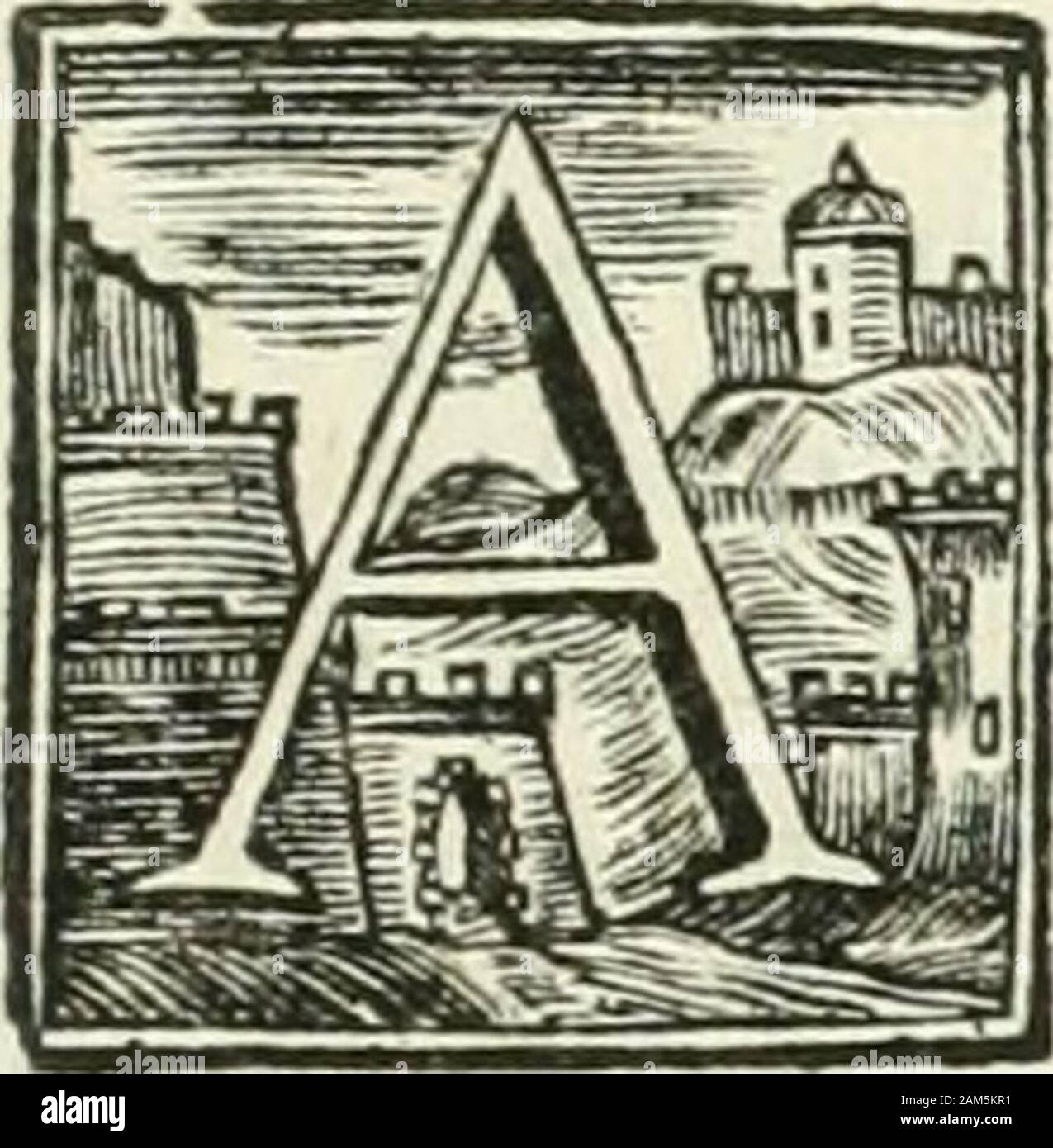 Vite de' pittori, scultori ed architetti che anno lavorato in Roma : morti dal 1641 fino al 1673 . ALES- 173 "E. ALESSANDRO TURCO PITTORE, Mori l Anno ic^^o. LefTandro del quale al prefente fi parla fu na-tivo di Verona la città principale dello StatoVeneto , dalla quale ufcì tal gran Paolo Cai-Ilari , che fu il decoro e la gloria della pit-tura . Suo padre aveva nome Gafparo Giovan-ni Turco , del quale venire prefe figlio il co-gnome . Nacque in circa del 1^80, e da fanciullo per la como-dità della patria elTendofi applicato al difegno ebbe li prin-cipj dal figlio di Paolo Calliari . Fu condifce Foto Stock