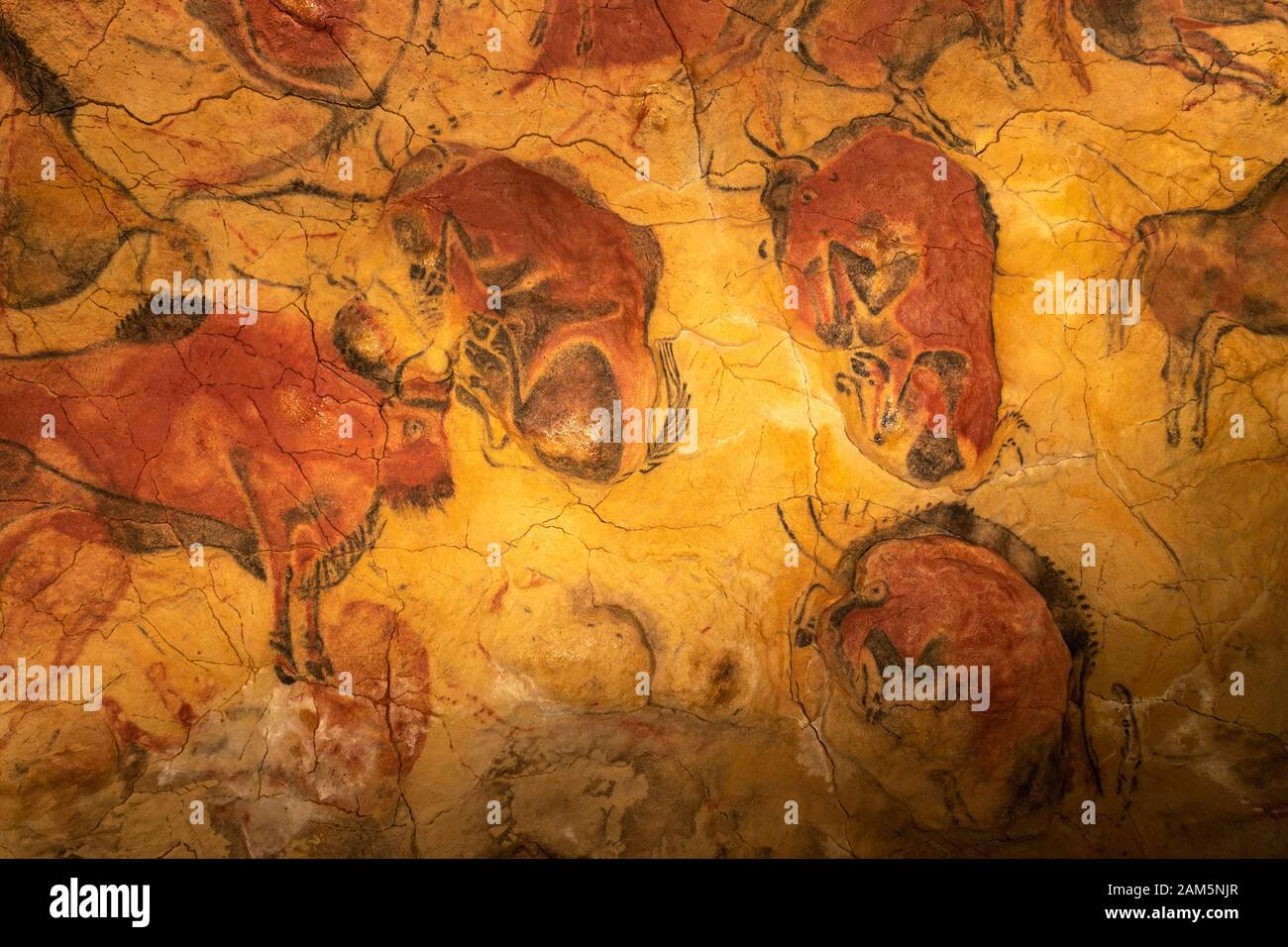 Grotta Di Altamira Immagini E Fotos Stock Alamy