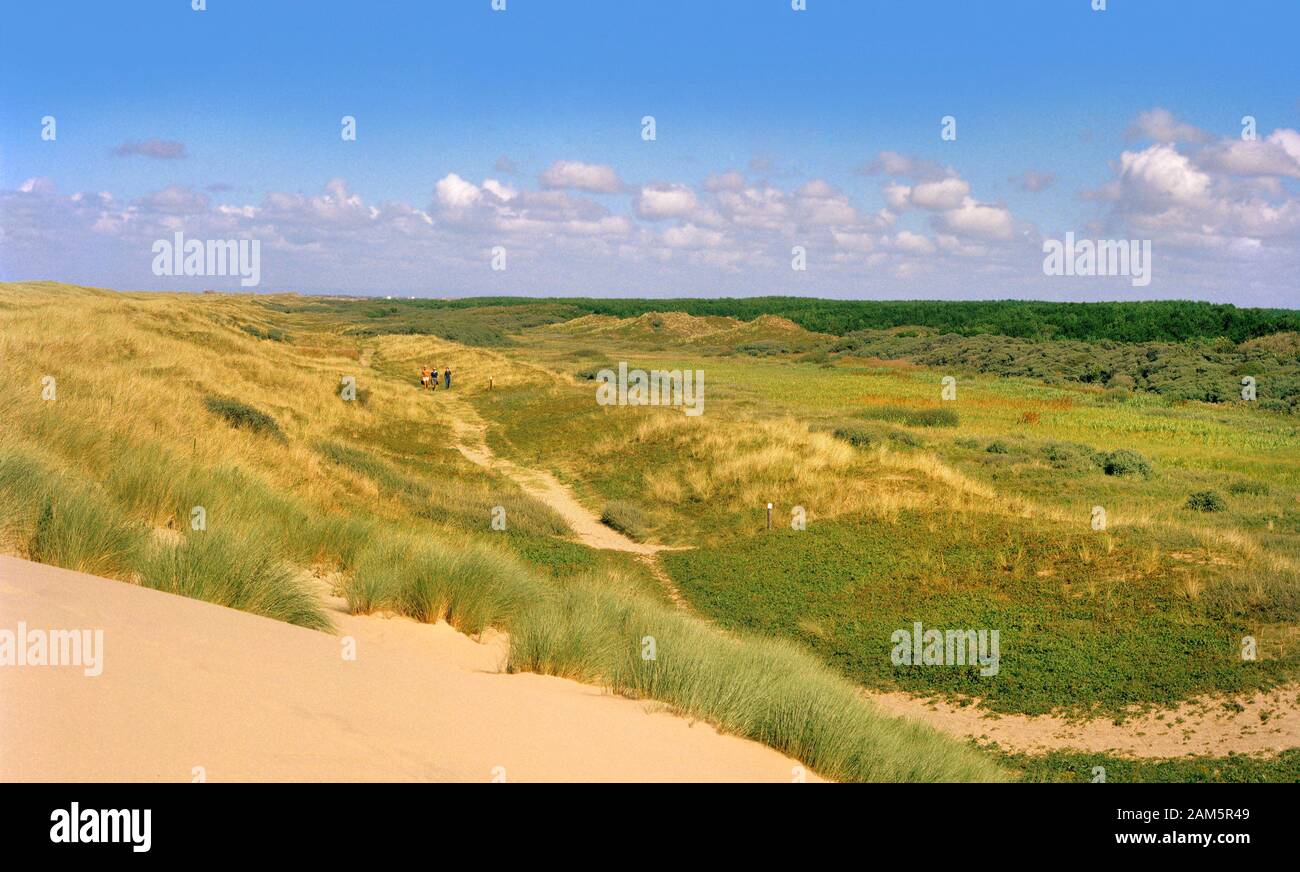 Ainsdale dune di sabbia Riserva Naturale Nazionale, Lancashire Foto Stock