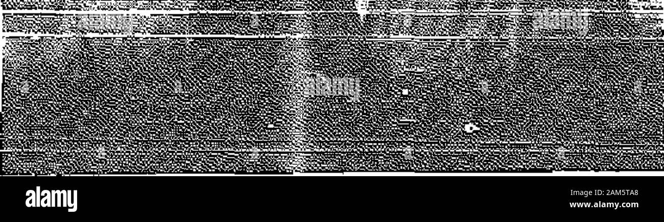 Il grido di guerra . Wlllena Frascr. Ponte-acqua, N.S. Rupert Veinot Hailfas II. Non troppo vecchio per il braccio il grido. Ho looV al grido di guerra la vendita come ablefiEing in più modi diversi mi eouldexpress in queste linee. Esso mantiene pre-judice giù e vince amici per (beArmy Gciu snd. In passato mosths 1hanno notato molte persone che wouldnot loolt a ihe grido di guerra precedentemente, butwho ora comprare uno. Un altro punto è la. Grido di guerra Eoiiiasgives un cbanee di parlare alla gente abouttheir anime ; vi dà anche op-portunity per andare in luoghi di Bin andvire di raggiungere la gente ci. Un giorno mi ha cantato una strofa di una berlina la sig.ra CapL Forsey e onorevole Foto Stock