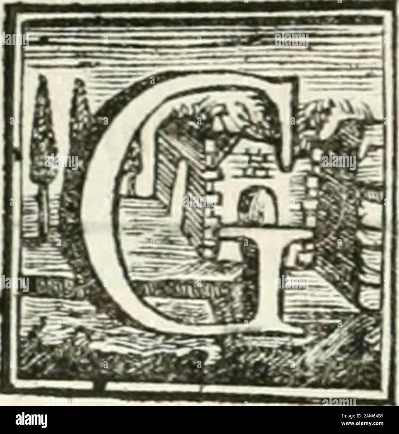 Vite de' pittori, scultori ed architetti che anno lavorato in Roma : morti dal 1641 fino al 1673 . *Ui. IMPRIMATUR.- Fr, Thomas Auguftinus Ricchinius Ordinis Prxdica-torum Sac. Pai. Apoft. Magifter . DISCOR. VI. DISCORSO PRELIMINARE DELL* EDITORE lambattifta PafTeri Pittore ed autore delleprcfenti Vite nacque provengono da quefti fcrit-ti fi raccoglie circa lanno i6io. 11 Tajanella defcrizzione fua del Vaticano dice ,che quefta famiglia de PafTeri era mar morto-ria di Siena , ed egli ne faprà le ragioni.Da chi il noftro Scrittore apprendelTe i primi rudimenti deldifegno non dirlo faprei . Egli medefi Foto Stock