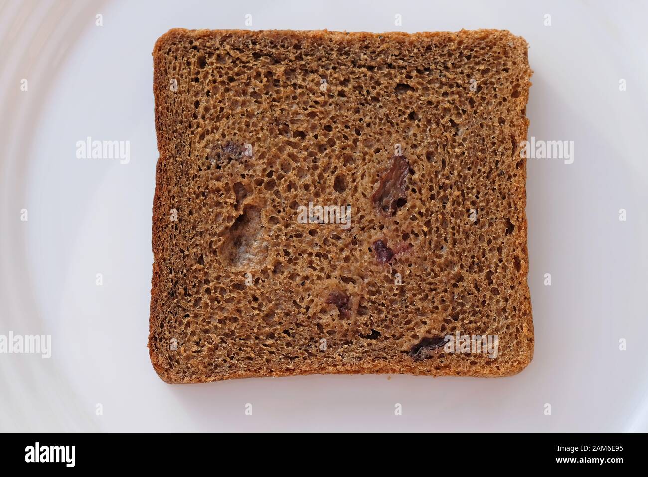 Fetta di pane marrone con uvetta su una vista dall'alto con piastra bianca. Una fetta quadrata di pane di segale su un piatto. Foto Stock