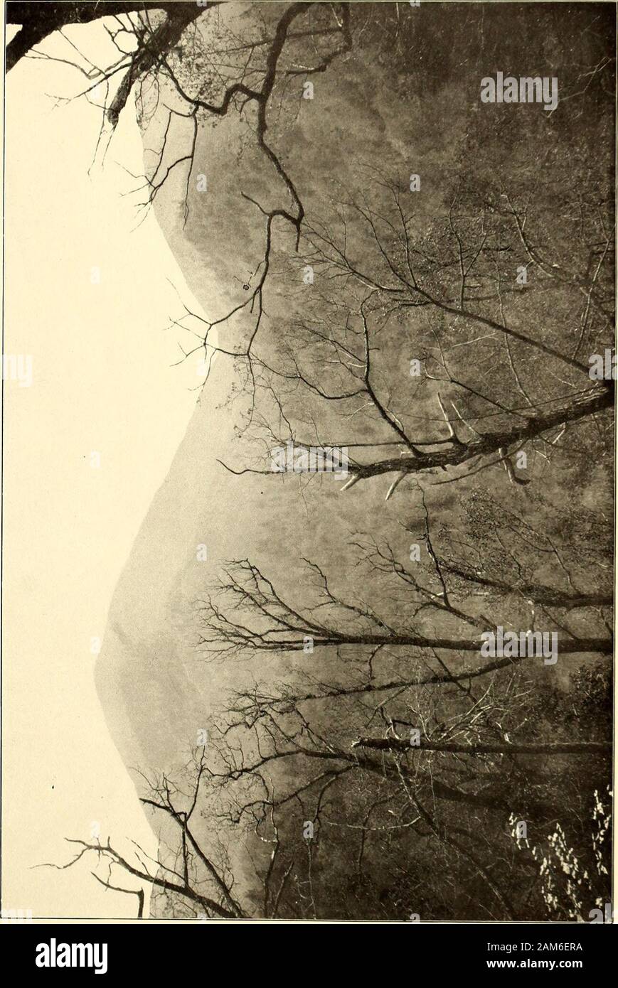 La geodesia : il est arco obliquo degli Stati Uniti e osculating sferoide / da ChasASchott . 0 30 ") 50 Statuto Miglia Stefano alta Bluff, A. H. B., 1S94.^^^^. Ohiects osservato. Direzioni da pre-cedente regolazioni. Correc-zioni. Finalseconds. Poore Benii Mount Mitchell RogersPoore, C. O. B., 1S77; A. H. B., 1S95. Re Benn Mount Mitchell Stefano RogersBenn, C. O. B., 1S77; A. H. B., 1S95. Re Wofford Hogback Mount Mitchell Stefano Poore o 00 00 oo 50 00 44 04 103 30 25 -24 307 22 59 -43 o 00 00 OO 31 55 20-57 64 è 17 •14 84 56 1376 144 19 49 in modo che l'O 00 00 00 59 06 35 -87 91 23 08 81 150 50 13 90 i Foto Stock