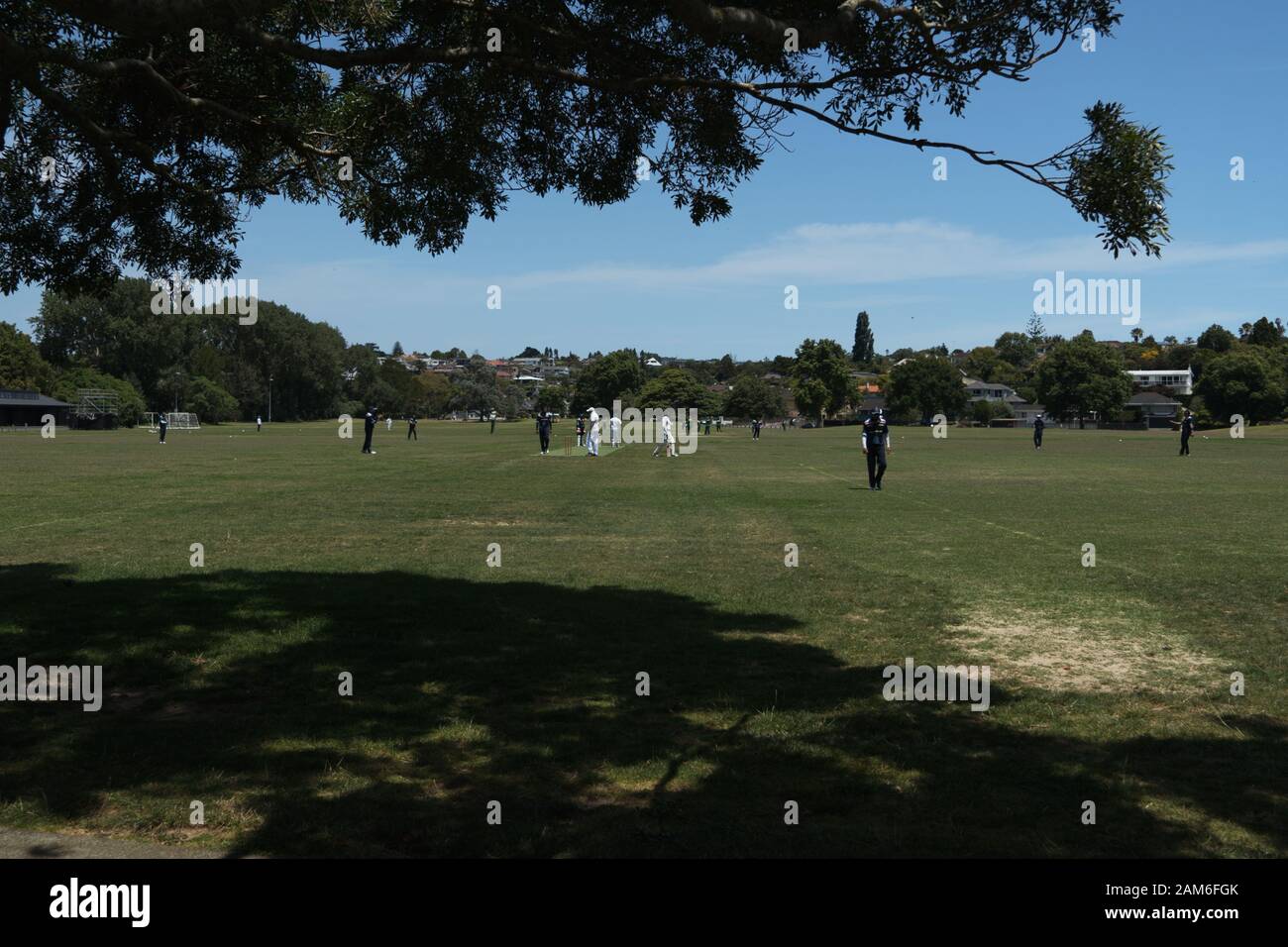 Squadre di cricket locali uomini che giocano partite in una giornata di gennaio soleggiata estate in Madills Farm Recreational Reserve, Kohimarma, Auckland, Nuova Zelanda. Foto Stock