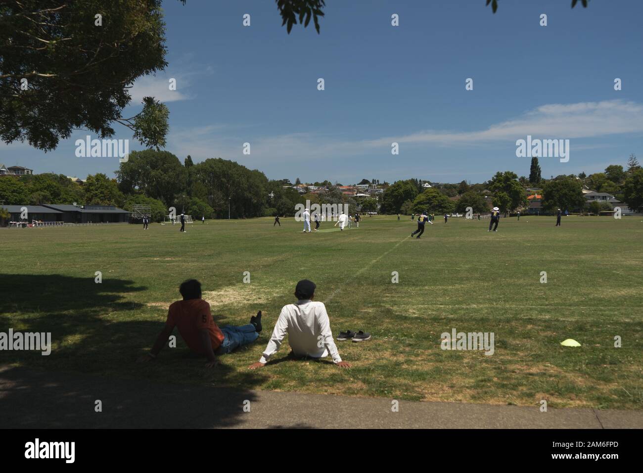 Squadre di cricket locali uomini che giocano partite in una giornata di gennaio soleggiata estate in Madills Farm Recreational Reserve, Kohimarma, Auckland, Nuova Zelanda. Foto Stock