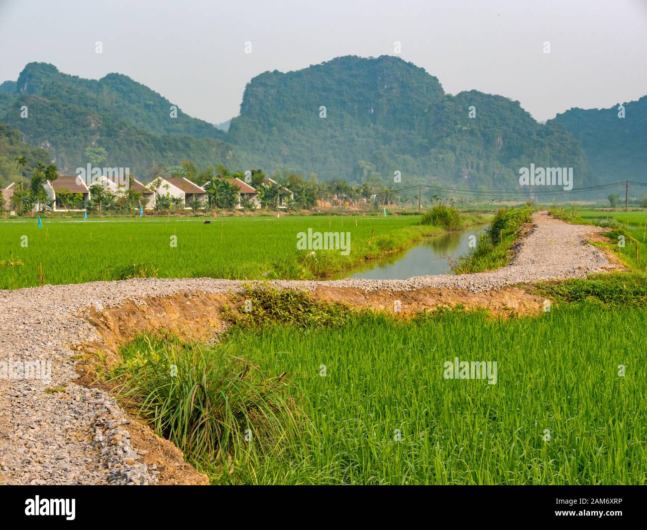 Pista ghiaiosa che conduce attraverso risaie con canale di irrigazione dell'acqua e vista delle montagne carsiche calcaree, Tam Coc, Ninh Binh, Vietnam, Asia Foto Stock